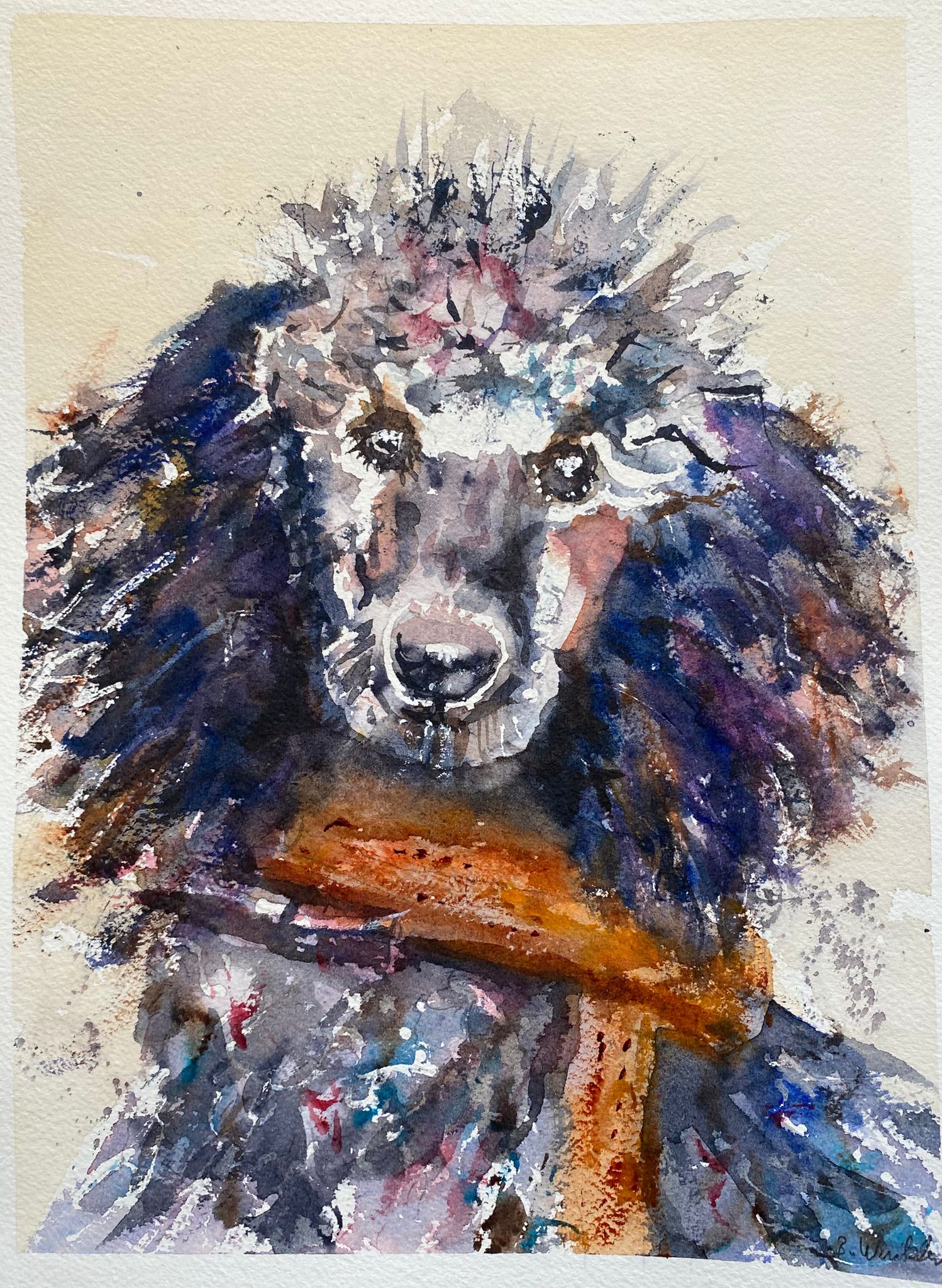 Bild 7